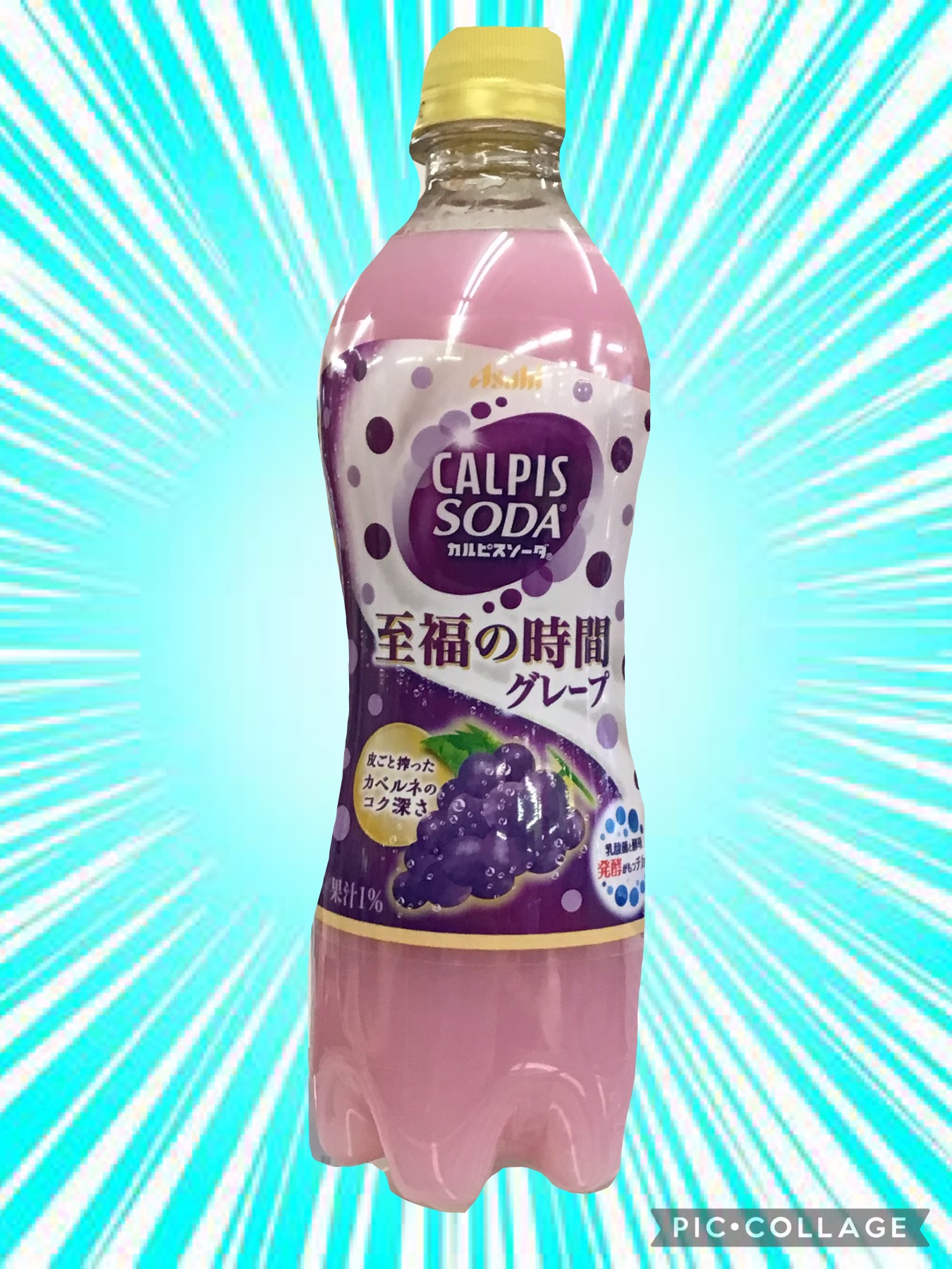 e6af3d04-caa2-4024-8cf6-c3f4bfd10758