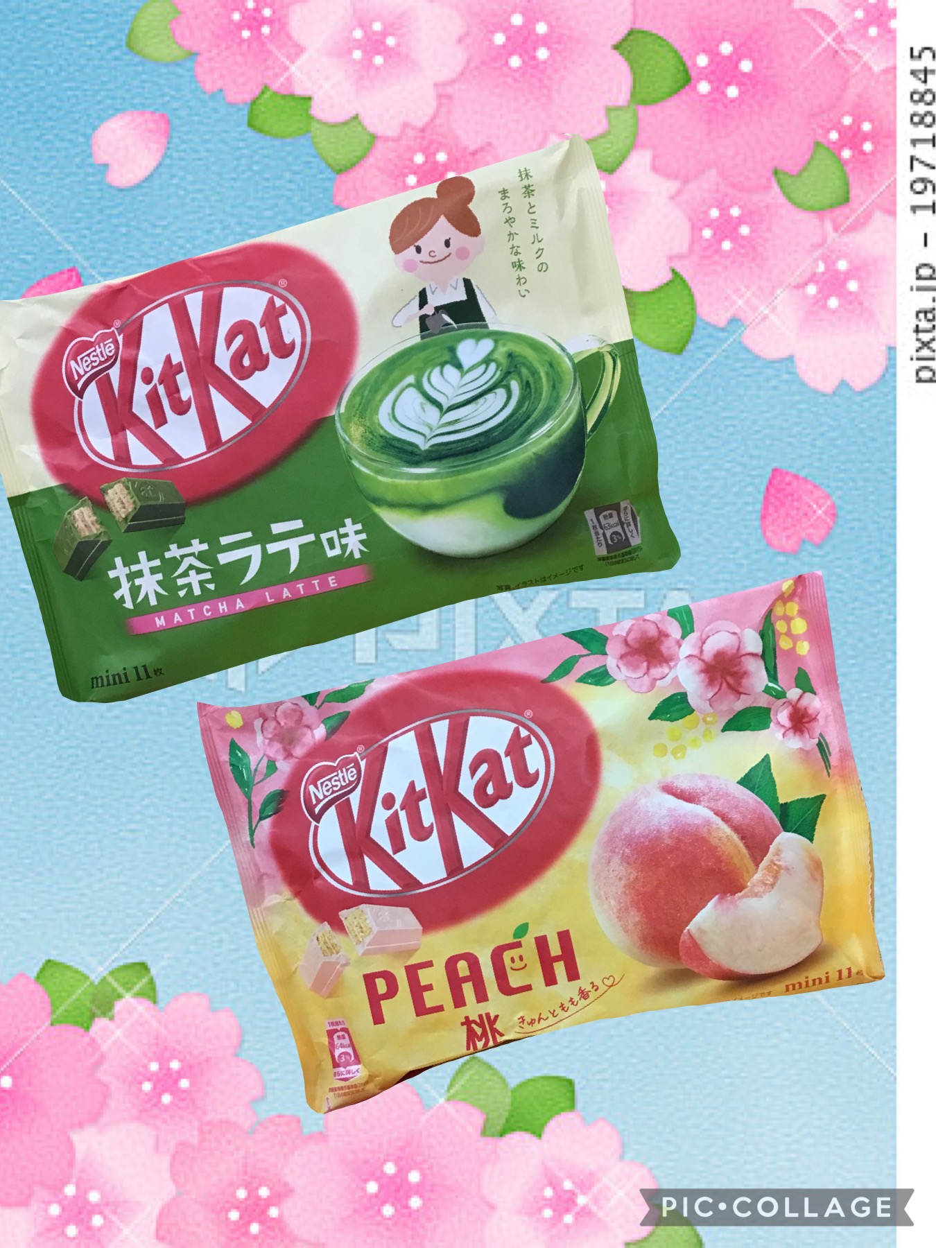 8466808a-0eee-4da0-b6de-4a444cfa76c2