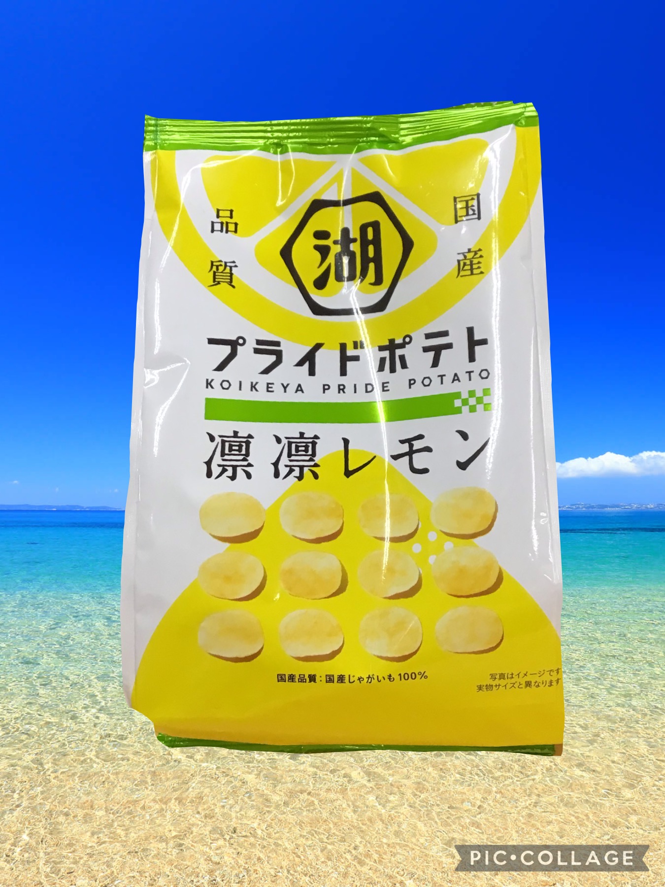 a21b154b-88a0-4772-8740-6d7e0244c587