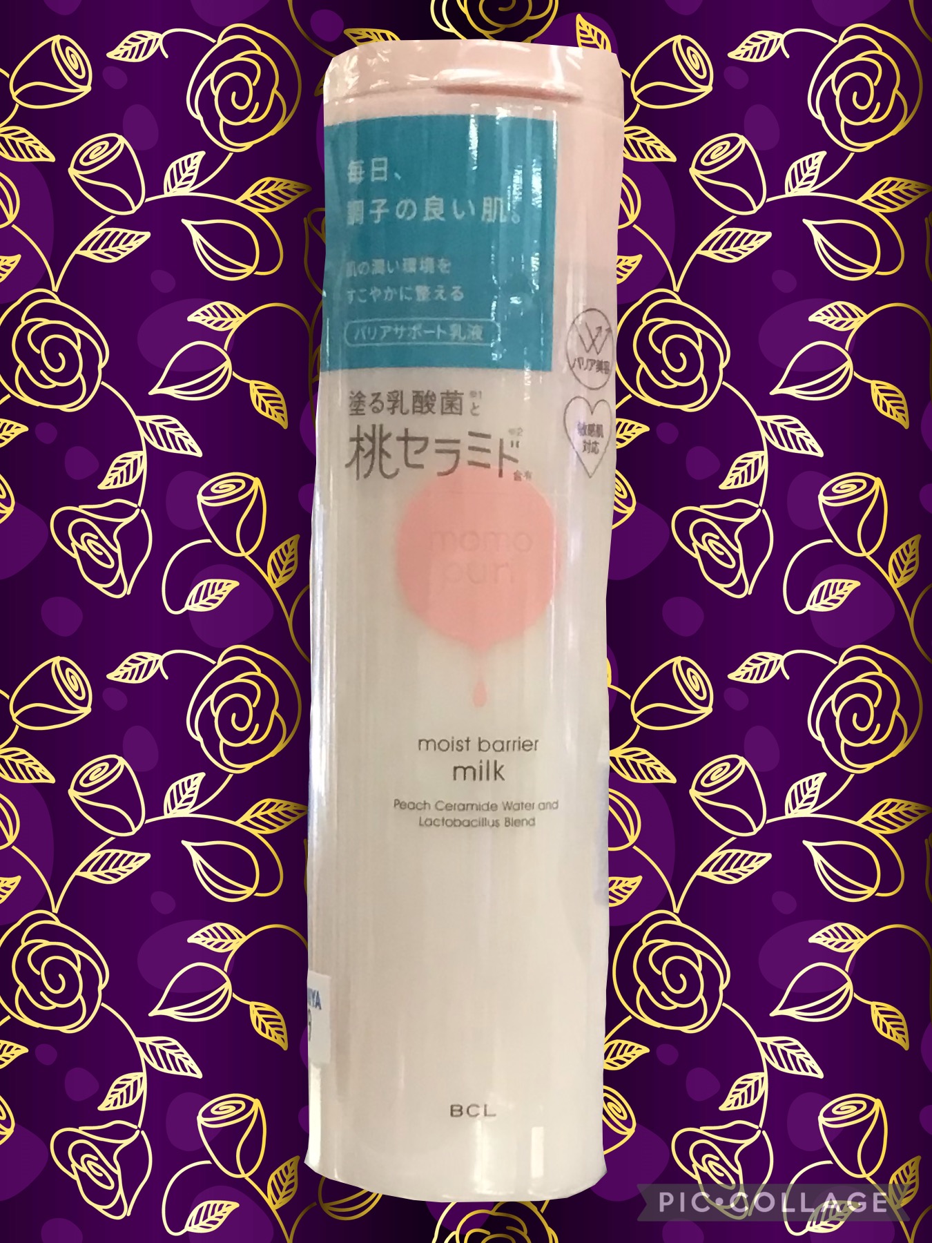 86ad150a-f33d-4ba9-8fdf-422a979e3c63